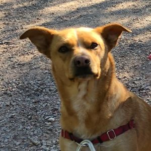 Meet your Posher, Jared